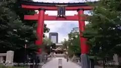 富岡八幡宮の鳥居