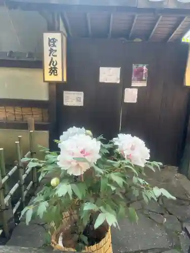 上野東照宮の{uncategorized: "未分類", other: "その他", undefined: "問題あり", building: "その他建物", grave: "お墓", sacred_gate: "鳥居", guardian: "狛犬", statue: "像", buddha: "仏像", history: "歴史", nature: "自然", garden: "庭園", animal: "動物", pagoda: "塔", temizu: "手水舎", mountain_gate: "山門・神門", sanctuary: "本殿・本堂", subordinate: "末社・摂社", art: "芸術", scenery: "景色", jizo: "地蔵", ema: "絵馬", goshuin: "御朱印", omikuji: "おみくじ", items: "授与品その他", amulet: "お守り", goshuincho: "御朱印帳", eats: "食事", festival: "お祭り", votive_dance: "神楽", shichigosan: "七五三参", wedding: "結婚式", experience: "体験その他", initially: "初詣", around: "周辺", anti_infection: "感染症対策"}