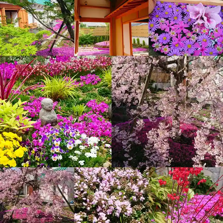 寿量山 速成寺の自然