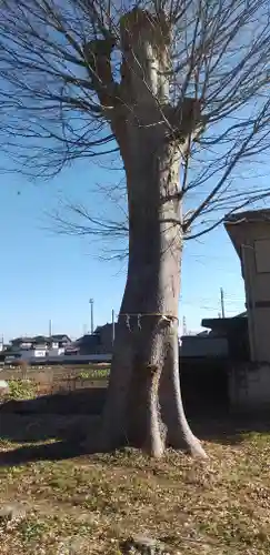 雀宮神社の自然