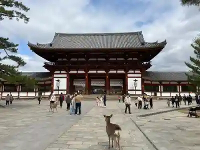 東大寺(奈良県)