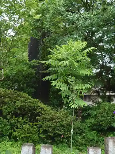 茂左衛門地蔵尊 千日堂のその他建物