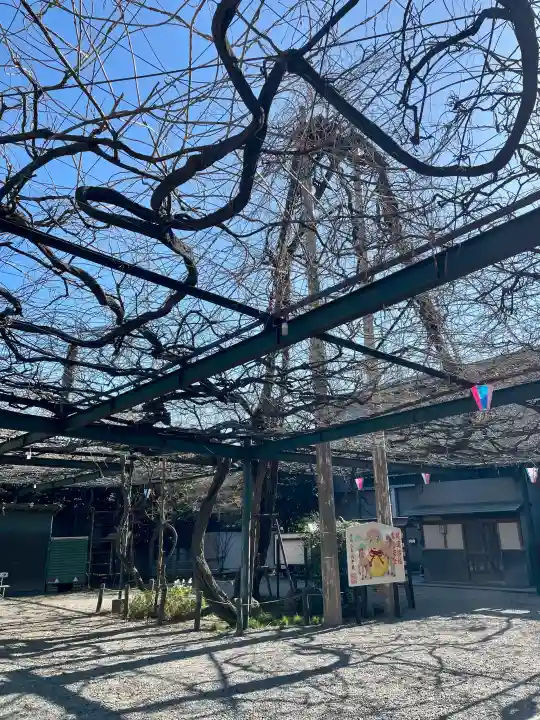 國領神社の{uncategorized: "未分類", other: "その他", undefined: "問題あり", building: "その他建物", grave: "お墓", sacred_gate: "鳥居", guardian: "狛犬", statue: "像", buddha: "仏像", history: "歴史", nature: "自然", garden: "庭園", animal: "動物", pagoda: "塔", temizu: "手水舎", mountain_gate: "山門・神門", sanctuary: "本殿・本堂", subordinate: "末社・摂社", art: "芸術", scenery: "景色", jizo: "地蔵", ema: "絵馬", goshuin: "御朱印", omikuji: "おみくじ", items: "授与品その他", amulet: "お守り", goshuincho: "御朱印帳", eats: "食事", festival: "お祭り", votive_dance: "神楽", shichigosan: "七五三参", wedding: "結婚式", experience: "体験その他", initially: "初詣", around: "周辺", anti_infection: "感染症対策"}