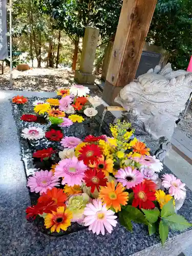 滑川神社 - 仕事と子どもの守り神の手水