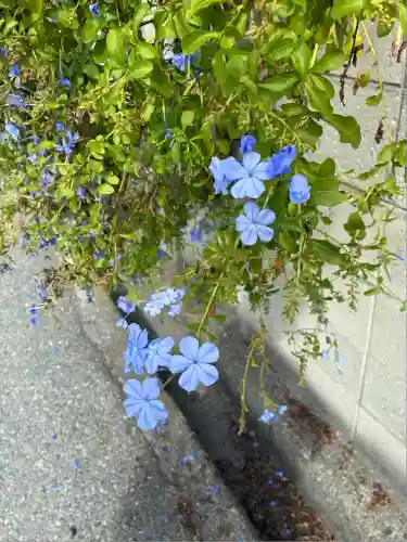 我堂八幡宮(大阪府)