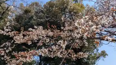 東雲神社の自然