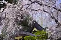 子安神社の自然