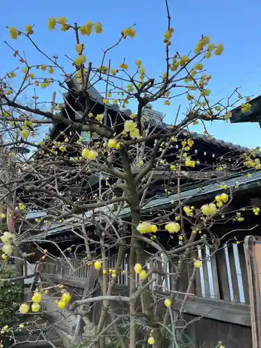 長谷寺(神奈川県)