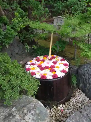 心行寺(東京都)