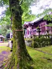 稲佐神社の自然