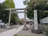 浅草神社の鳥居