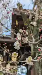 菅原院天満宮神社(京都府)