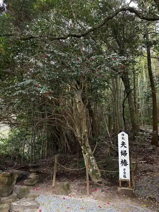 八重垣神社(島根県)