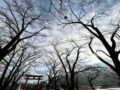 子檀嶺神社の鳥居