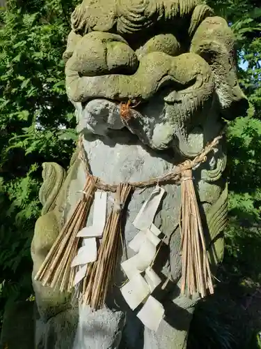 中川熊野神社の狛犬