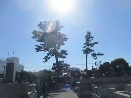 松蔭寺(静岡県)