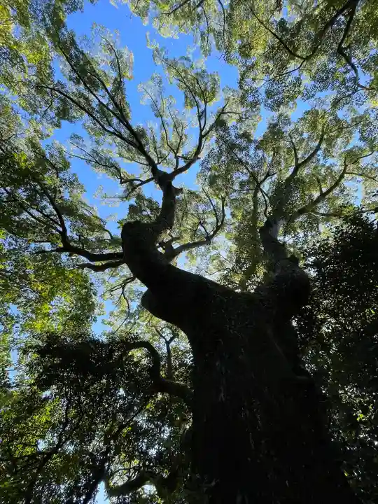 月讀宮(皇大神宮別宮)の自然