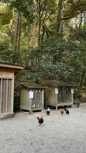 石上神宮(奈良県)