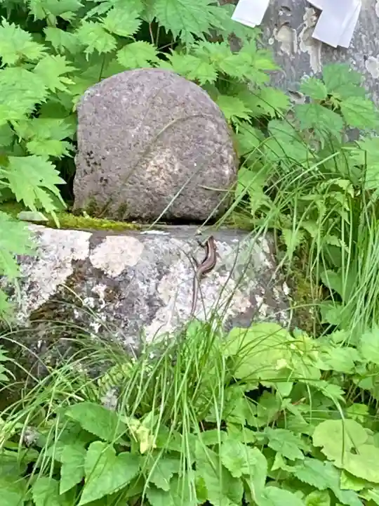 戸隠神社九頭龍社(長野県)