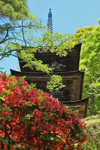 国宝 大法寺(長野県)