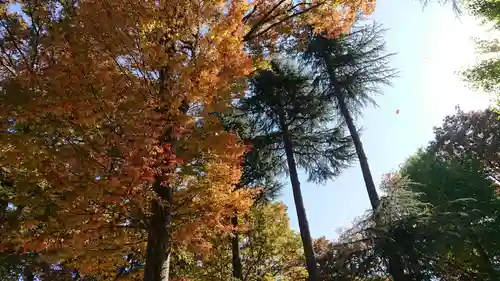 小野神社の景色