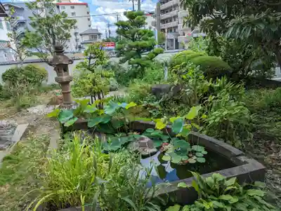 単伝庵(京都府)