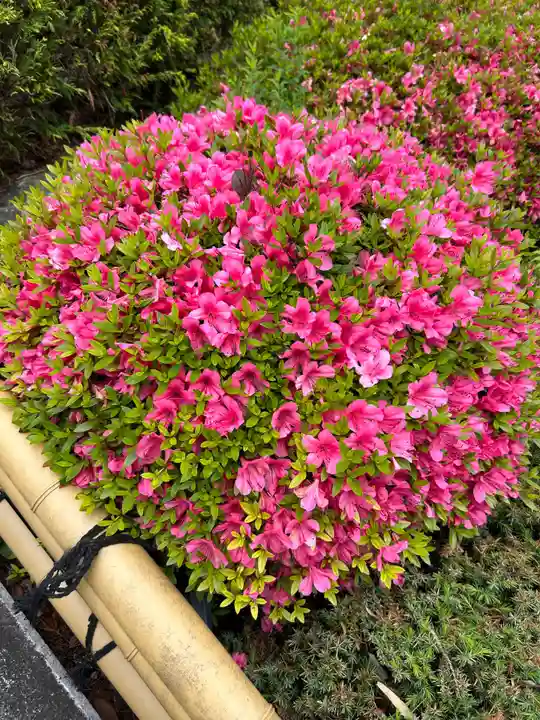 中野沼袋氷川神社(東京都)