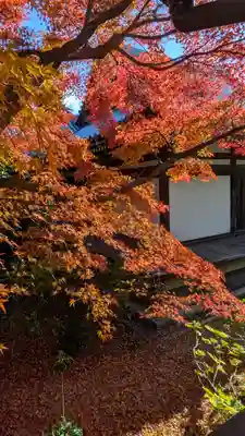 法金剛院(京都府)