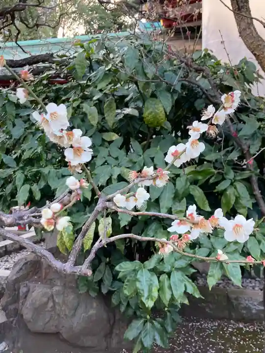 日枝神社の自然