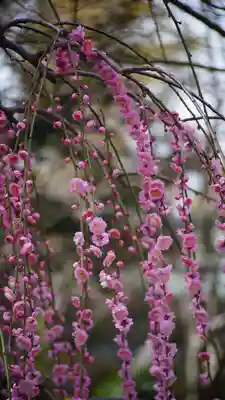 城南宮(京都府)