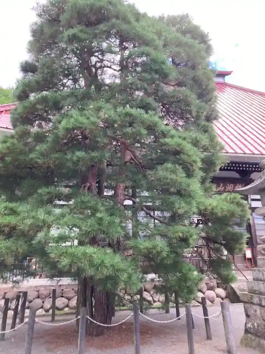 岩松院(長野県)