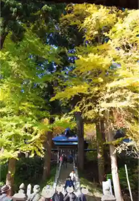 新宮熊野神社のその他建物