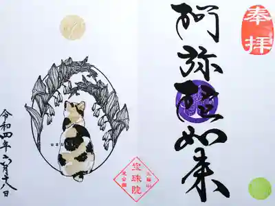 令和4年 月替わり御朱印4月
『ジャパニーズボブテイル(三毛)とアマドコロ 阿弥陀如来』