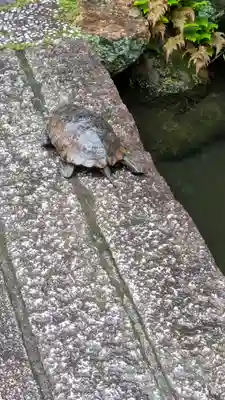 宝蔵寺(京都府)