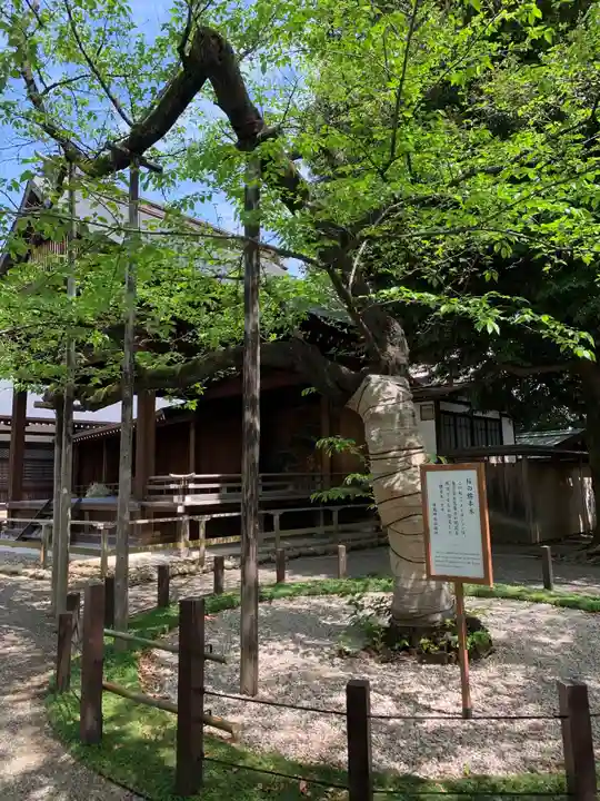 靖國神社の庭園