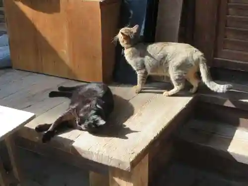 梅宮大社(京都府)