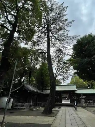 荻窪八幡神社の自然