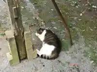 雀神社の動物