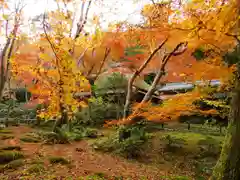 祇王寺(京都府)