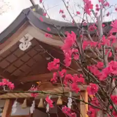 尾張大國霊神社（国府宮）の自然