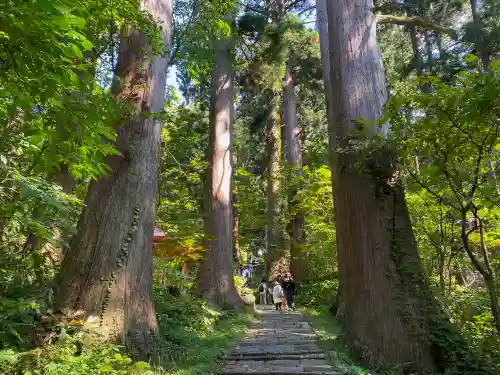 出羽神社(出羽三山神社)～三神合祭殿～の自然