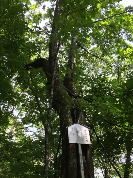 熊野皇大神社の自然
