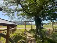 稲荷神社(京都府)