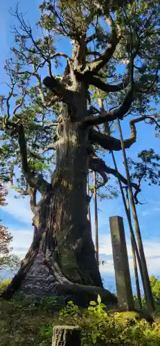 木幡山隠津島神社(二本松市)の周辺