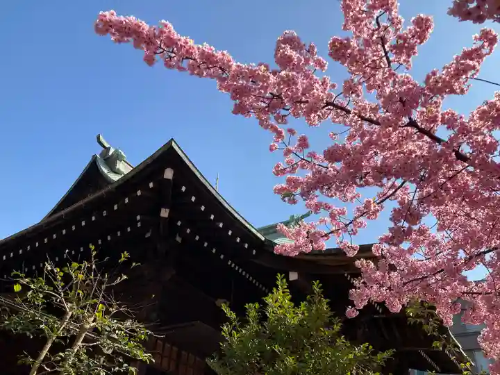 桜神宮(東京都)