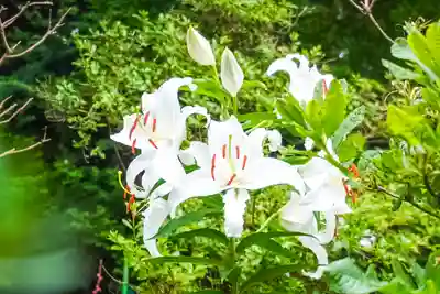 尻岸内八幡神社の自然