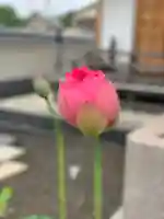 上行寺(静岡県)