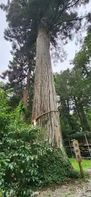 熱日高彦神社の周辺