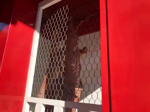 東福寺の{uncategorized: "未分類", other: "その他", undefined: "問題あり", building: "その他建物", grave: "お墓", sacred_gate: "鳥居", guardian: "狛犬", statue: "像", buddha: "仏像", history: "歴史", nature: "自然", garden: "庭園", animal: "動物", pagoda: "塔", temizu: "手水舎", mountain_gate: "山門・神門", sanctuary: "本殿・本堂", subordinate: "末社・摂社", art: "芸術", scenery: "景色", jizo: "地蔵", ema: "絵馬", goshuin: "御朱印", omikuji: "おみくじ", items: "授与品その他", amulet: "お守り", goshuincho: "御朱印帳", eats: "食事", festival: "お祭り", votive_dance: "神楽", shichigosan: "七五三参", wedding: "結婚式", experience: "体験その他", initially: "初詣", around: "周辺", anti_infection: "感染症対策"}