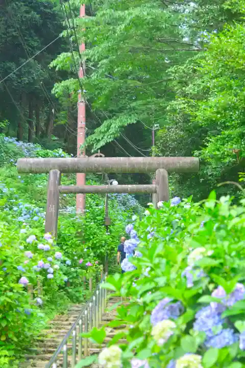 太平山神社(栃木県)
